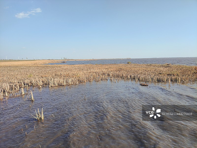 碧空映衬下的哈素海湖泊风景图片素材