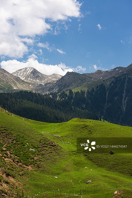 新疆伊犁州的自然田园风光图片素材