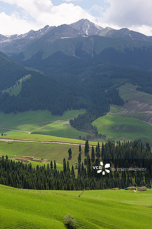 新疆伊犁州的自然田园风光图片素材