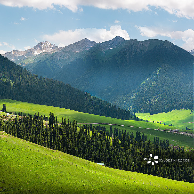 新疆伊犁州的自然田园风光图片素材