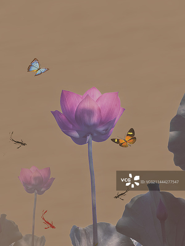 中式风格蝶恋荷图片素材