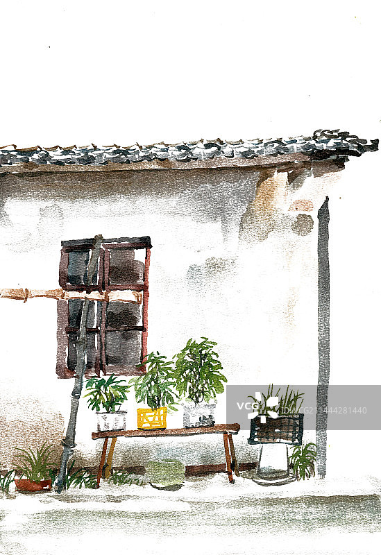 房前的花草图片素材