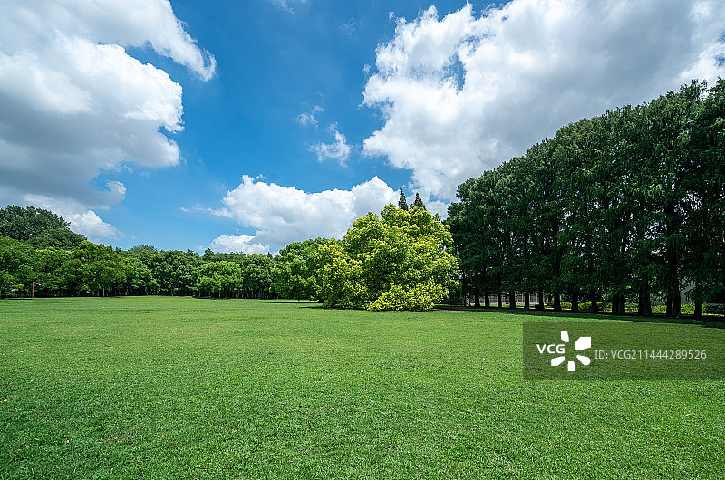 蓝天白云和绿色草坪图片素材