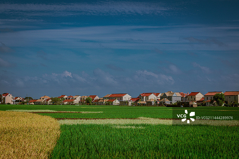 上海横沙岛艺术田园图片素材