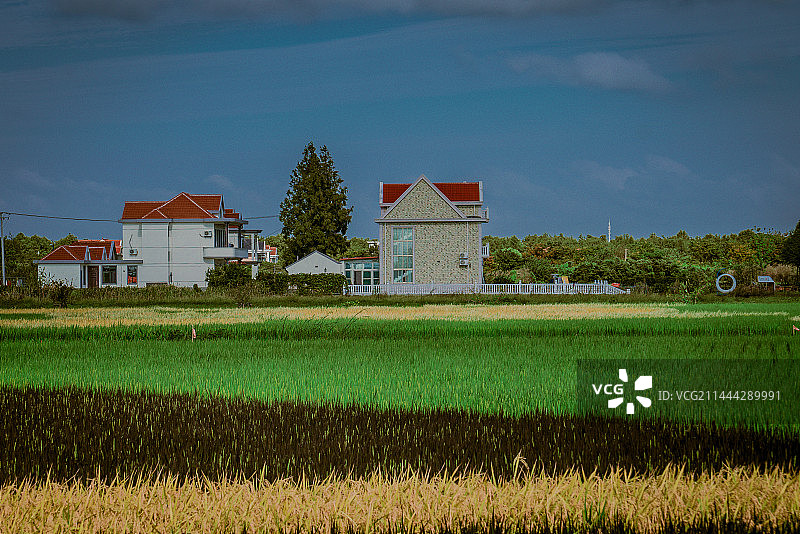 上海横沙岛艺术田园图片素材