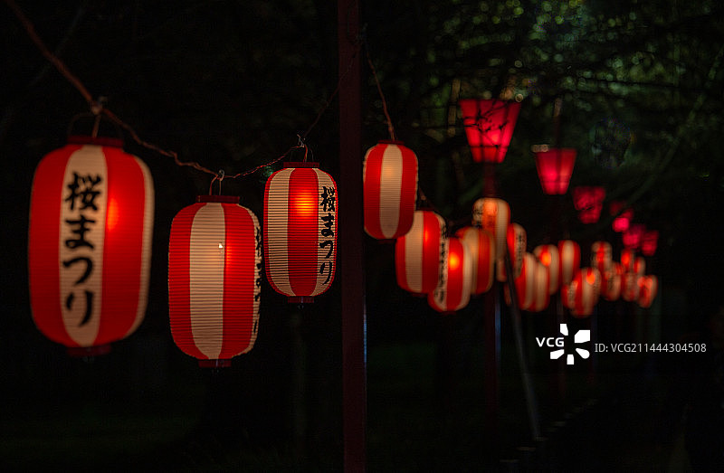 日本樱花季的夜晚灯笼图片素材