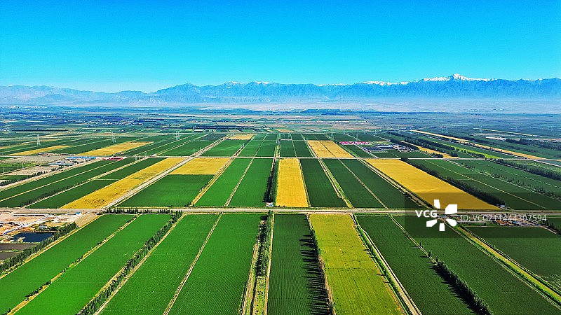 农业田顶天景观图片素材