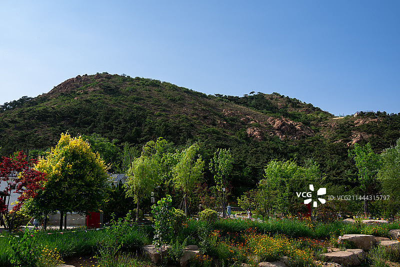夏日的青岛老虎山公园图片素材