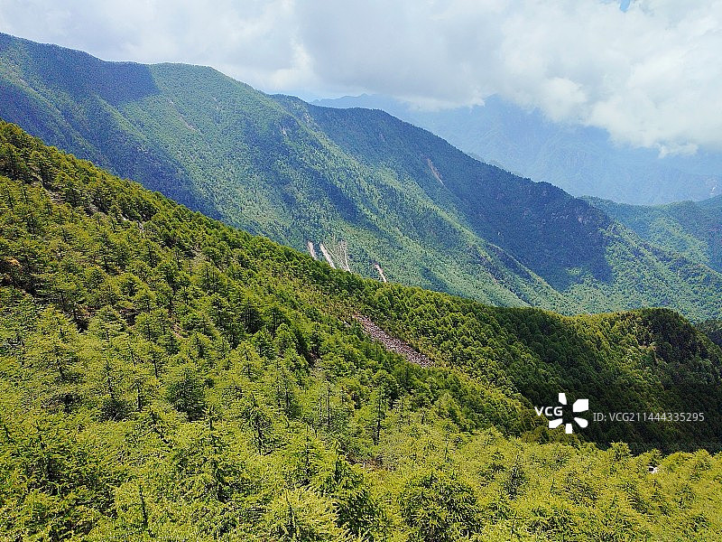 夏天陕西宝鸡眉县秦岭太白山原始森林图片素材