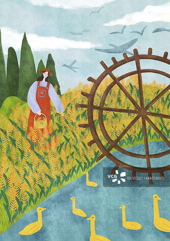 小满时节农场里的小女孩图片素材