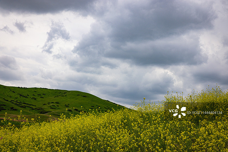 多云的田野景色图片素材