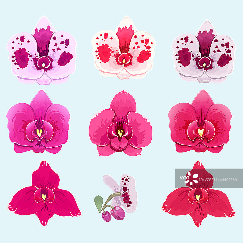 花束组合图片素材