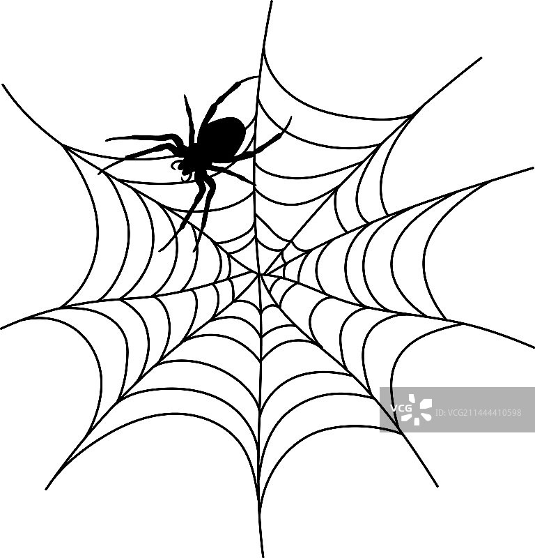 恐怖黑色蜘蛛网图片素材
