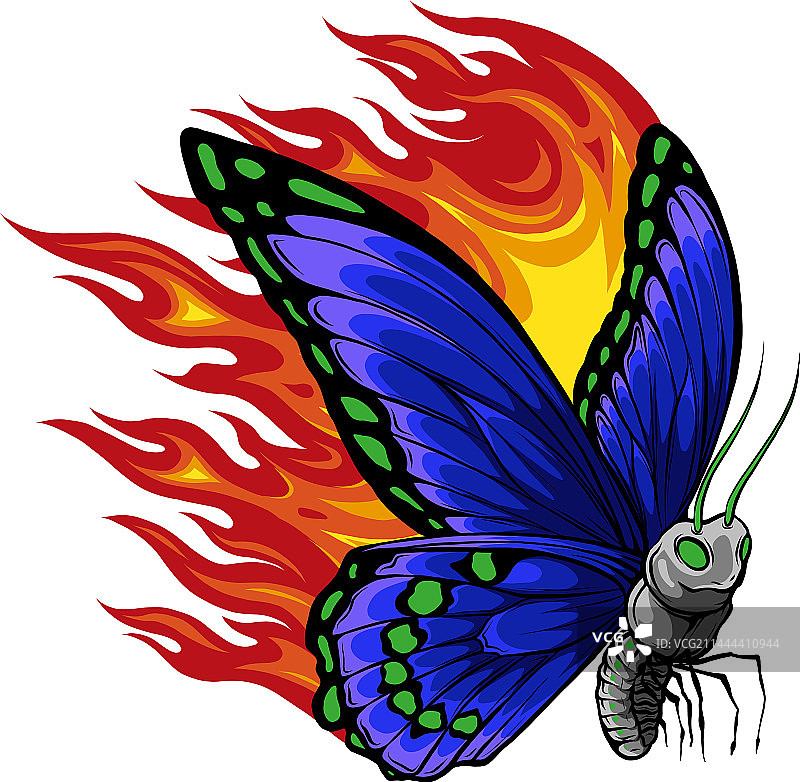 彩色翅膀的蝴蝶图片素材