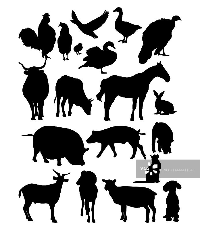 家畜家禽剪影图片素材