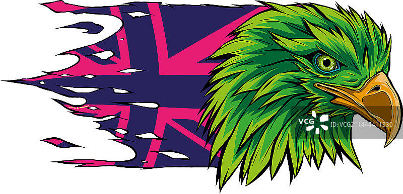 老鹰吉祥物头像设计图片素材