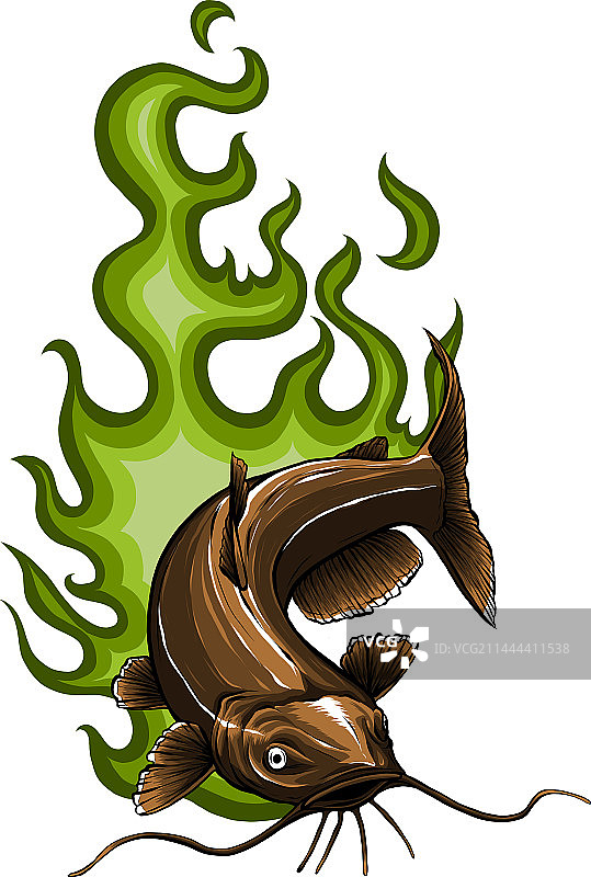 彩色鲶鱼卡通图片素材