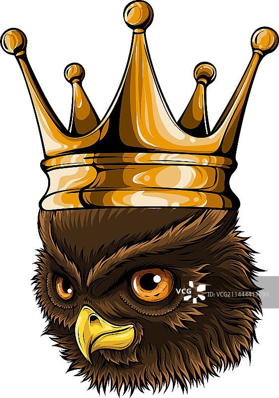 可爱的卡通猫头鹰头像设计图片素材