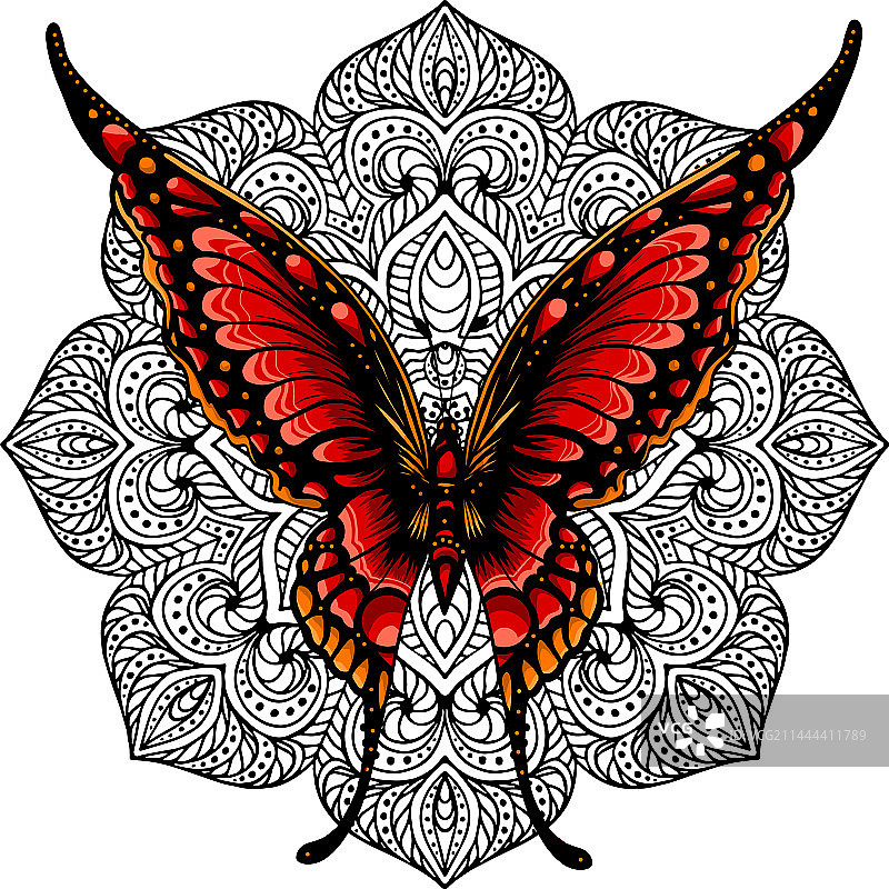 彩色翅膀的蝴蝶图片素材