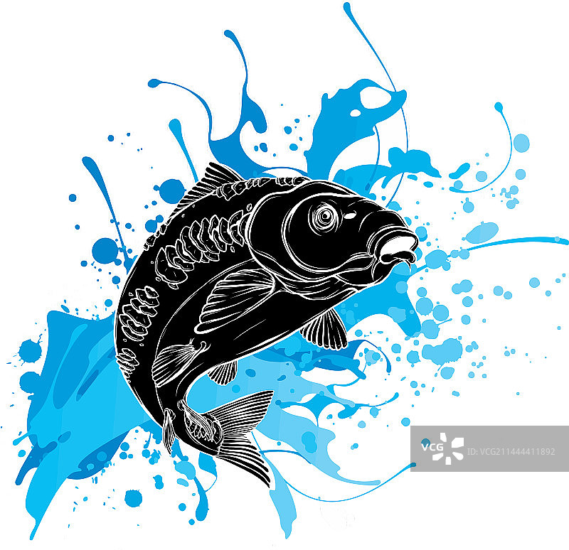 彩色鲤鱼图案图片素材