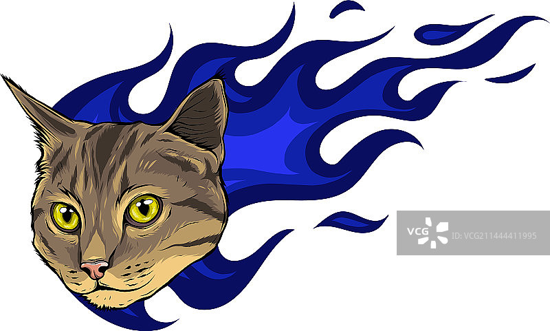 猫头设计手绘图片素材