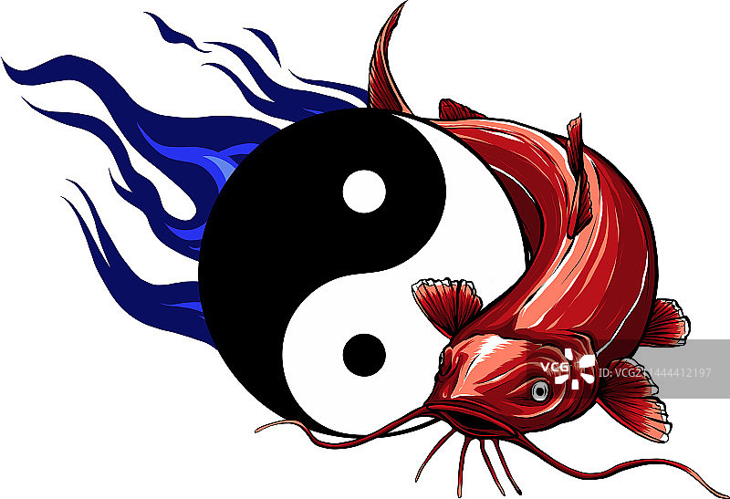 彩色鲶鱼卡通图片素材