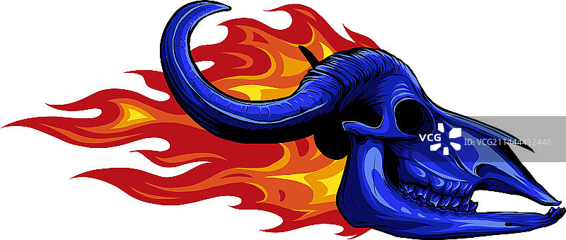 带角牛头骨设计图片素材