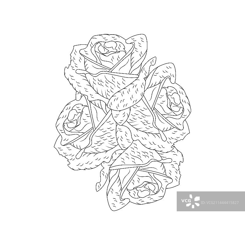 玫瑰花剪影线条艺术图片素材