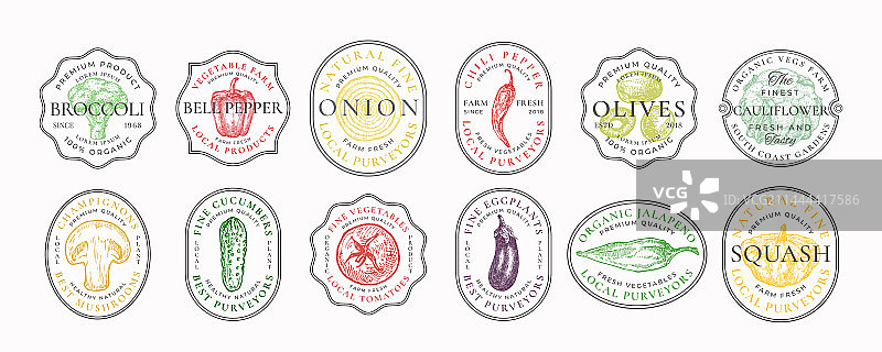 蔬菜边框徽章logo模板合集图片素材