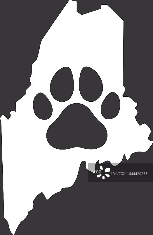 缅因州的狗爪图片素材