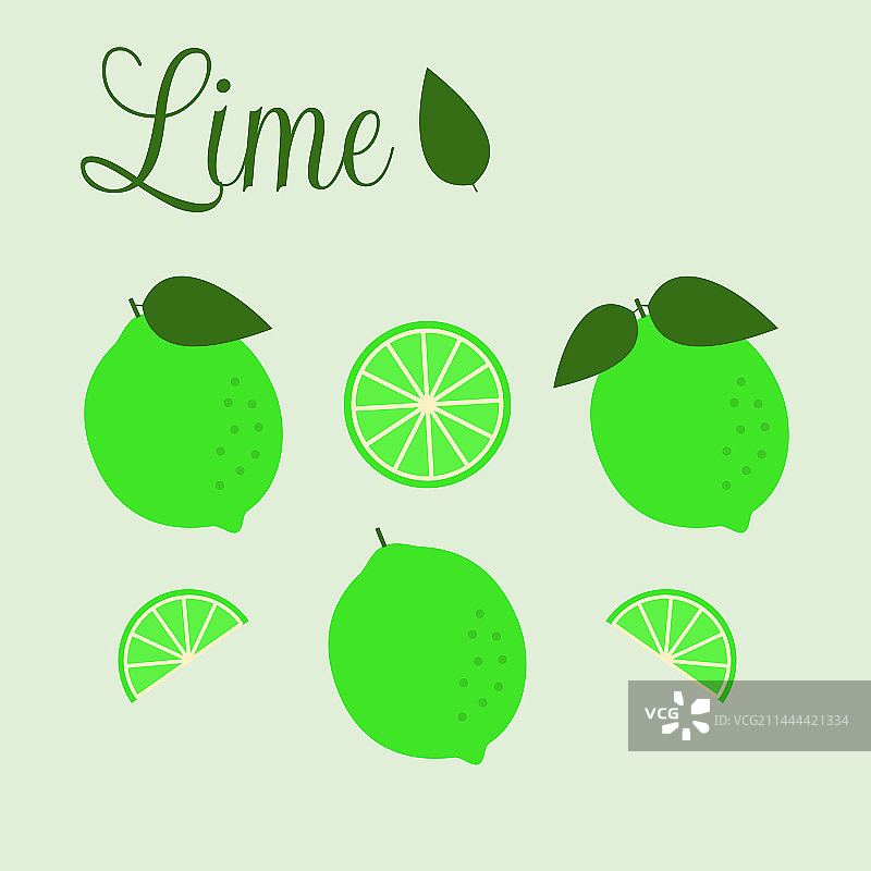 扁平风格的青柠集合图片素材