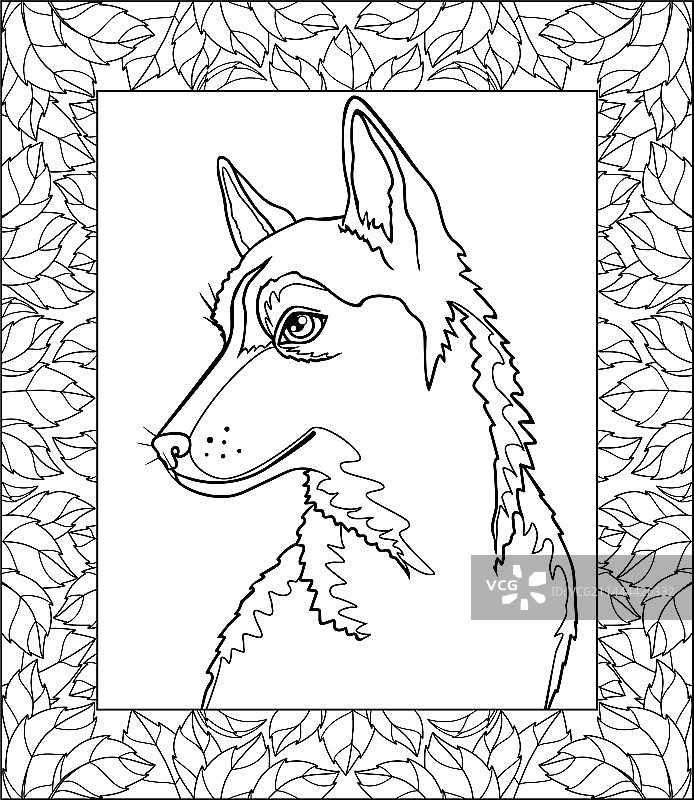 幼犬西伯利亚哈士奇树叶环绕图片素材