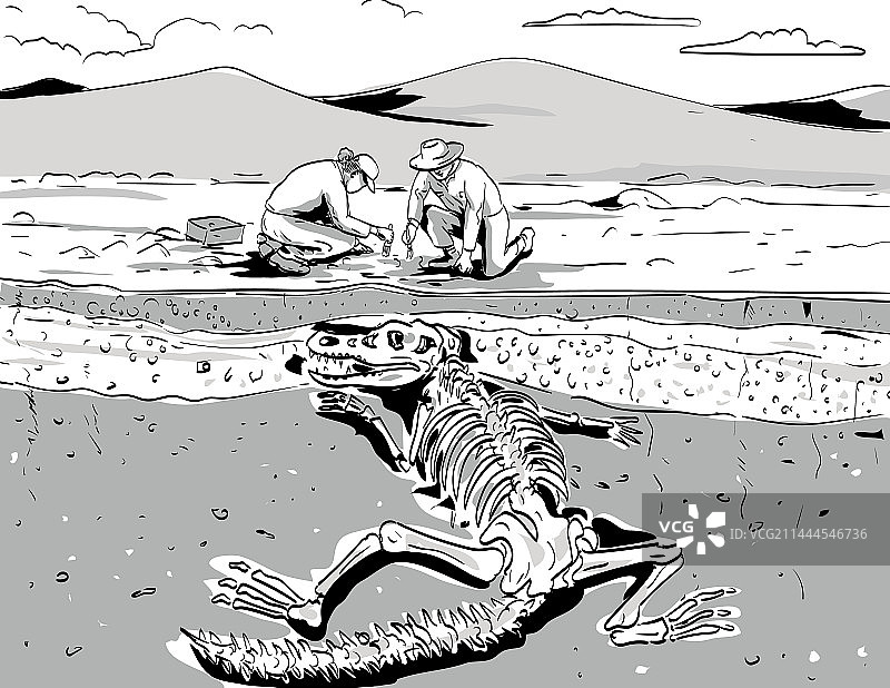 考古学家挖掘史前化石图片素材