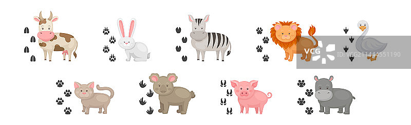 有趣的动物及其附近的脚印图片素材