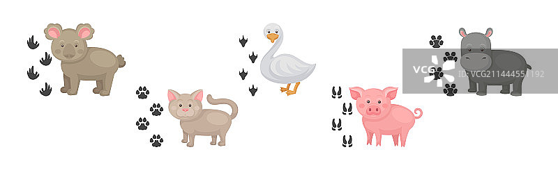 有趣的动物及其附近的脚印图片素材