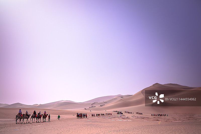 驼队图片素材