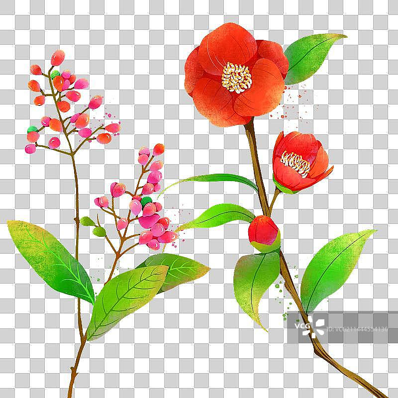 免抠花束图片素材