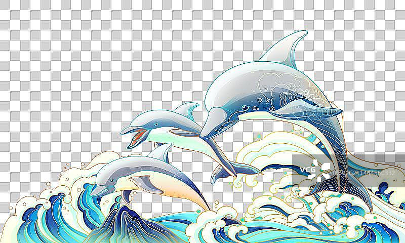 中华白海豚图片素材