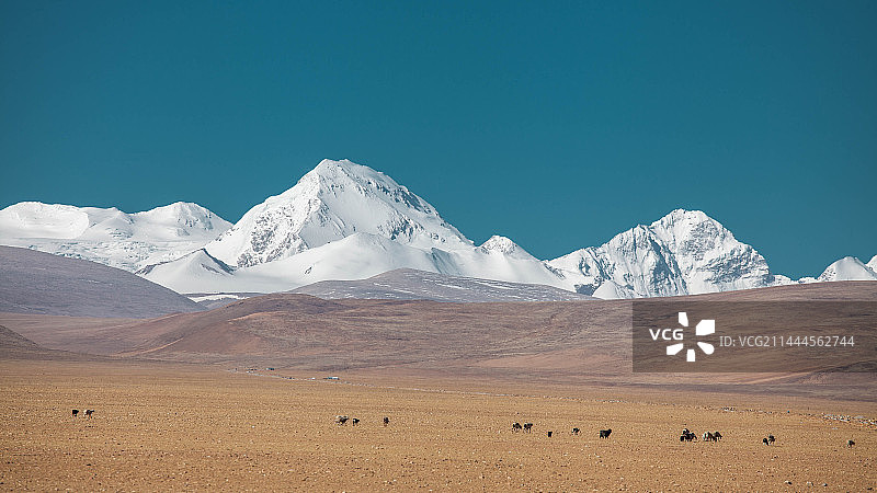 希夏邦马峰图片素材