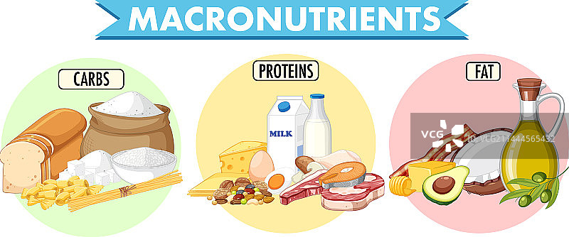 主要食物类别的宏量营养素图片素材