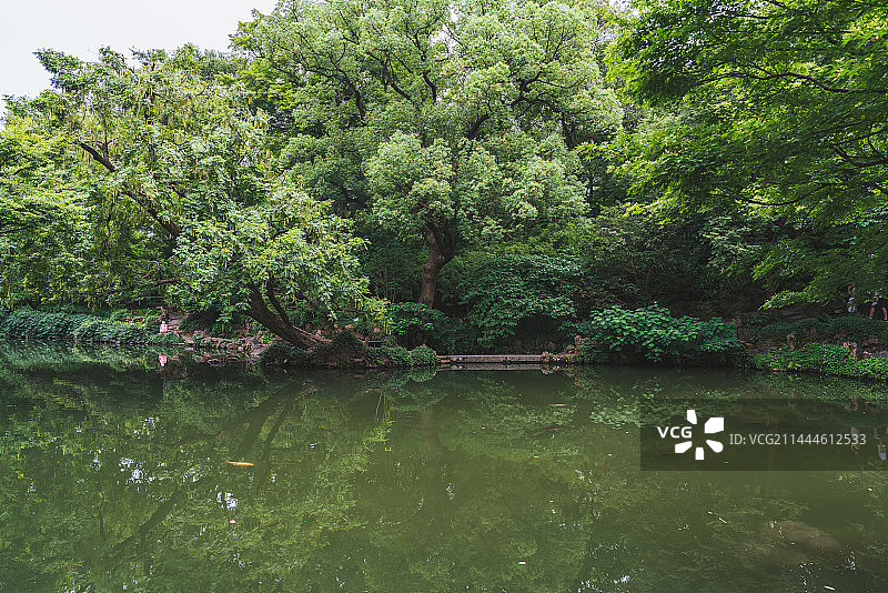 寄畅园园林风光图片素材