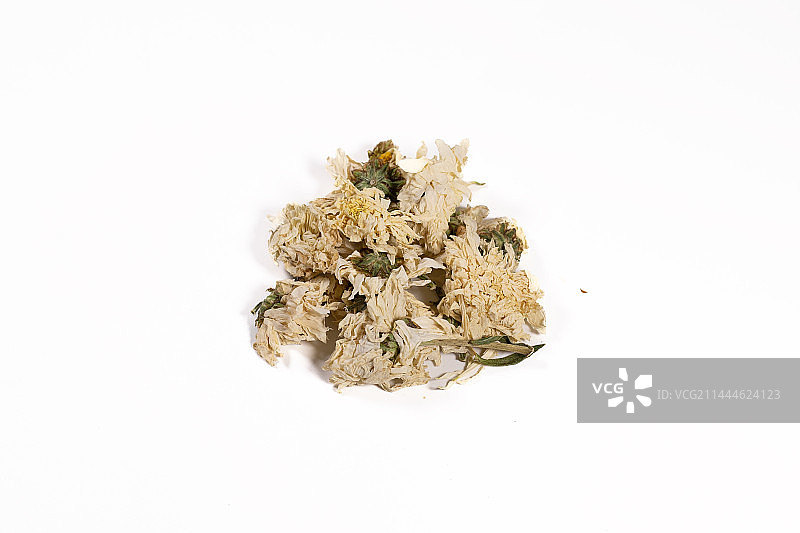 白背景中草药药材菊花图片素材