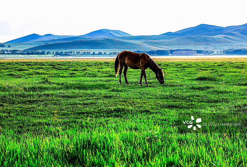 河北省沽源县闪电湖湿地草原图片素材
