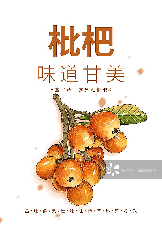 谷雨节气枇杷水果插画创意宣传海报设计模板图片素材