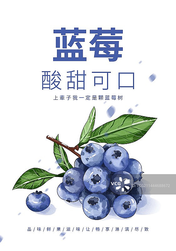 立夏节气蓝莓水果插画创意宣传海报设计模板图片素材