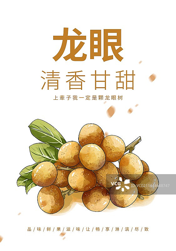 夏至节气龙眼水果插画创意宣传海报设计模板图片素材