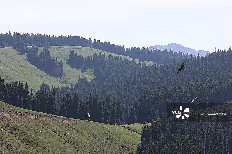 新疆风光图片素材