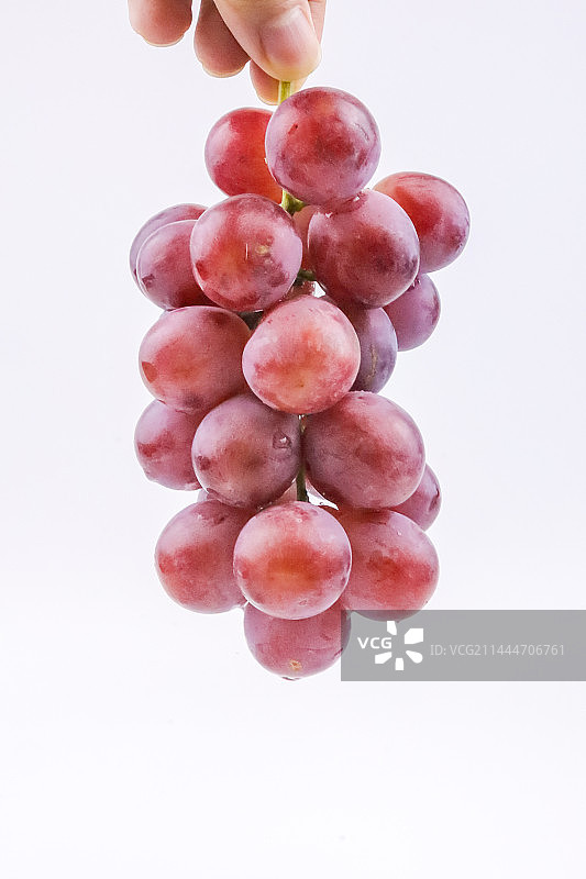 葡萄特写镜头图片素材