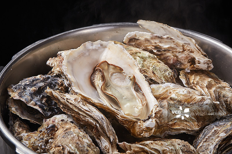 在冰块上的新鲜的生蚝图片素材