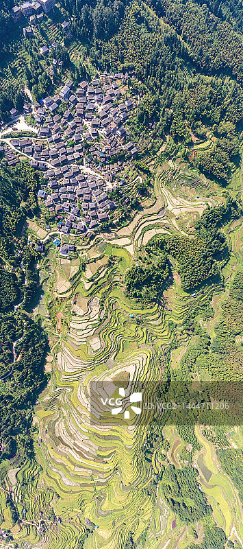 岜沙苗寨竖版全景航拍图片素材